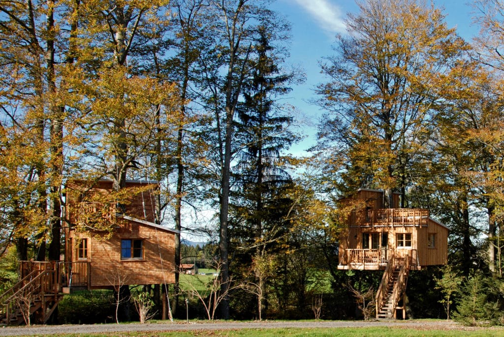 Two luxurious tree houses between high trees on a field in Allgäu.