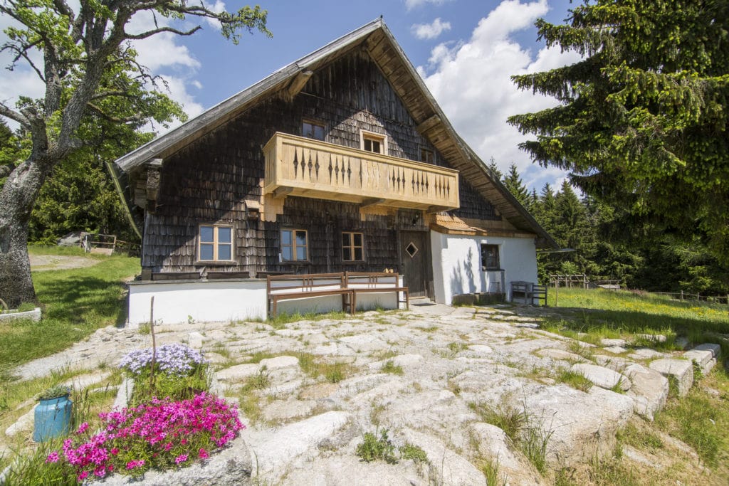 Rustic farmhouse in the forest on a sunny day.