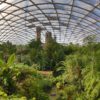 Impressive view of the huge jungle in Leipzig Zoo under a glass roof