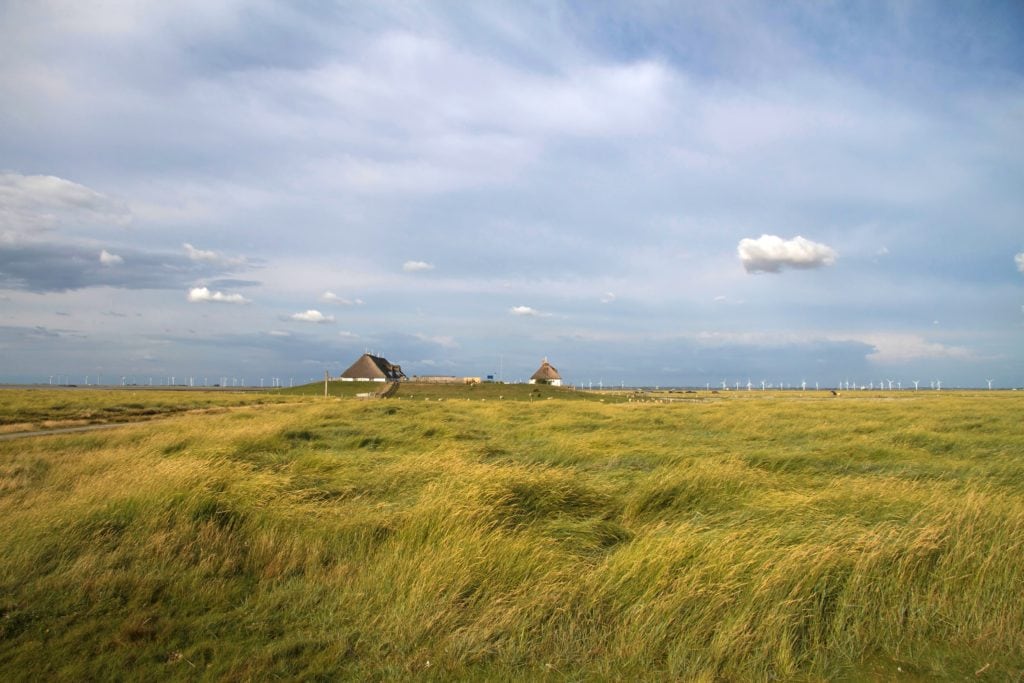 Long grass that bends in the wind, in front of typical Frisian house on island in Germany