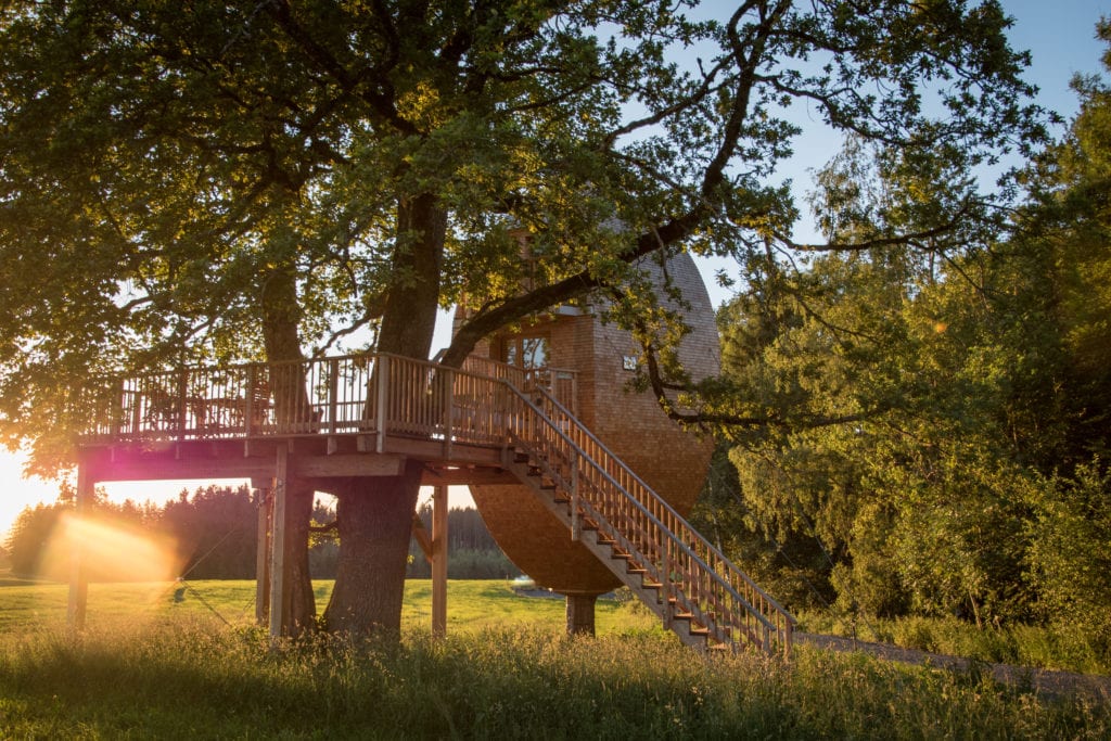 Ovales Luxus-Baumhaus auf einem Feld im Allgäu