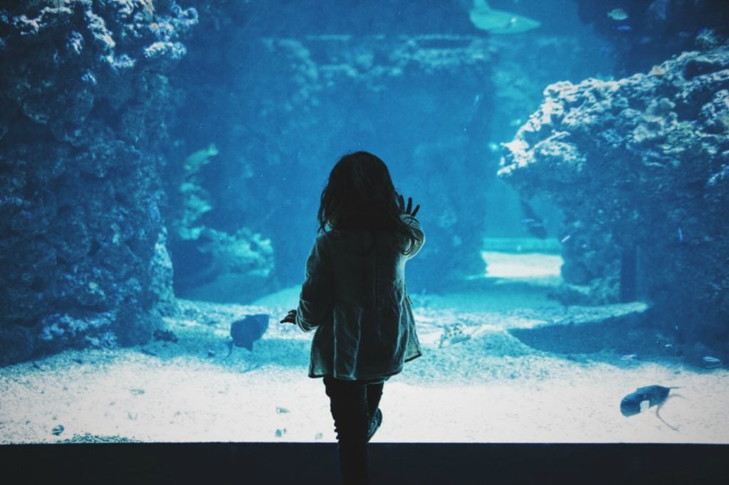 Kleines Mädchen steht vor Scheibe in einem Aquarium auf einer Insel in Deutschland und schaut sich Fische an