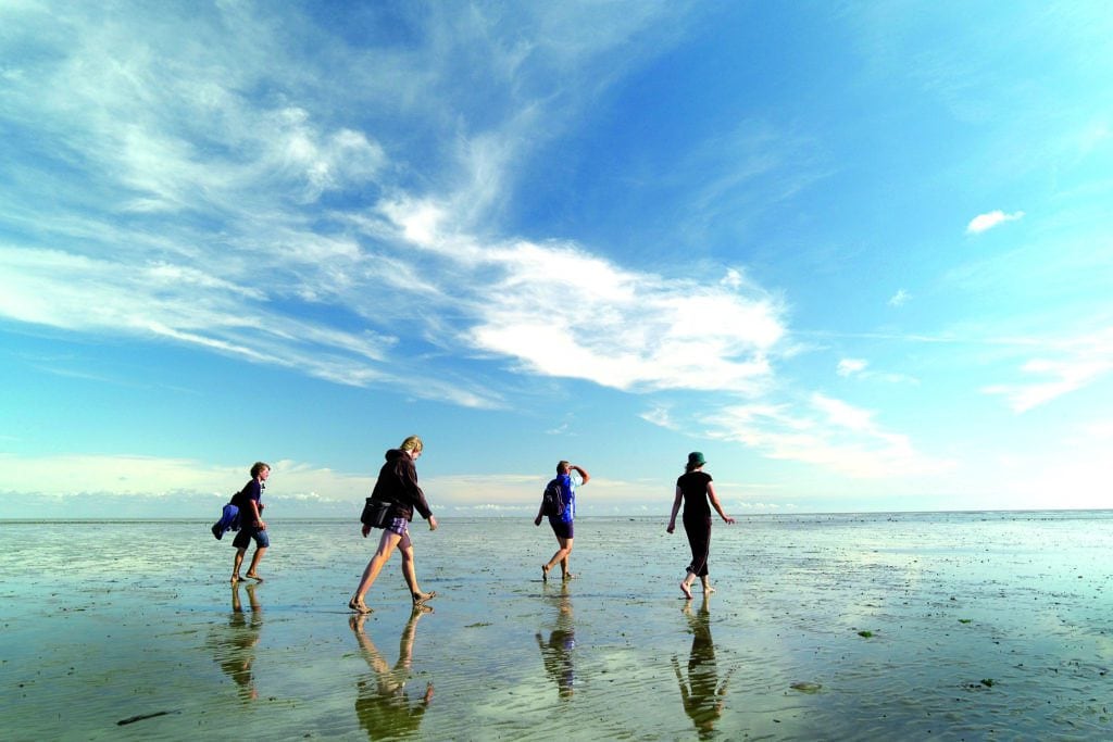 Four people are walking on the sea floor. Mudflat hiking tour