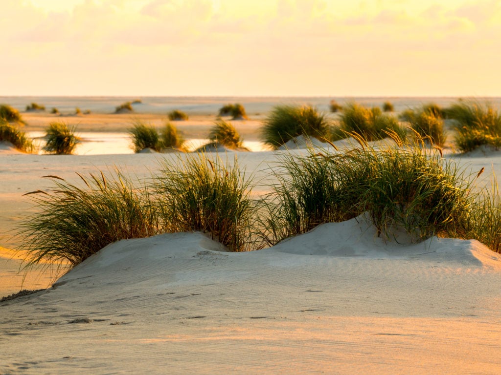 Dunes on island in Germany in the evening sun