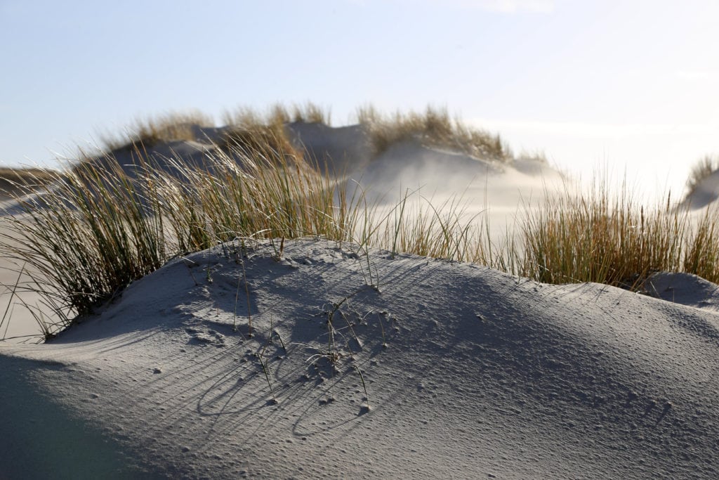 Dune on Amrum with white soft sand beach