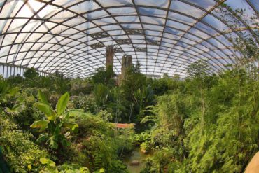 Beeindruckende Ansicht des riesigen Dschungels im Zoo Leipzig unter einem Glasdach