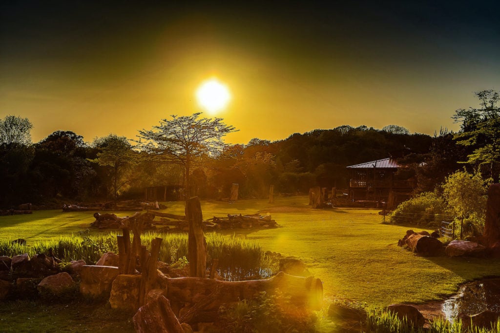 Sunset over the Kawara Savannah at Leipzig Zoo