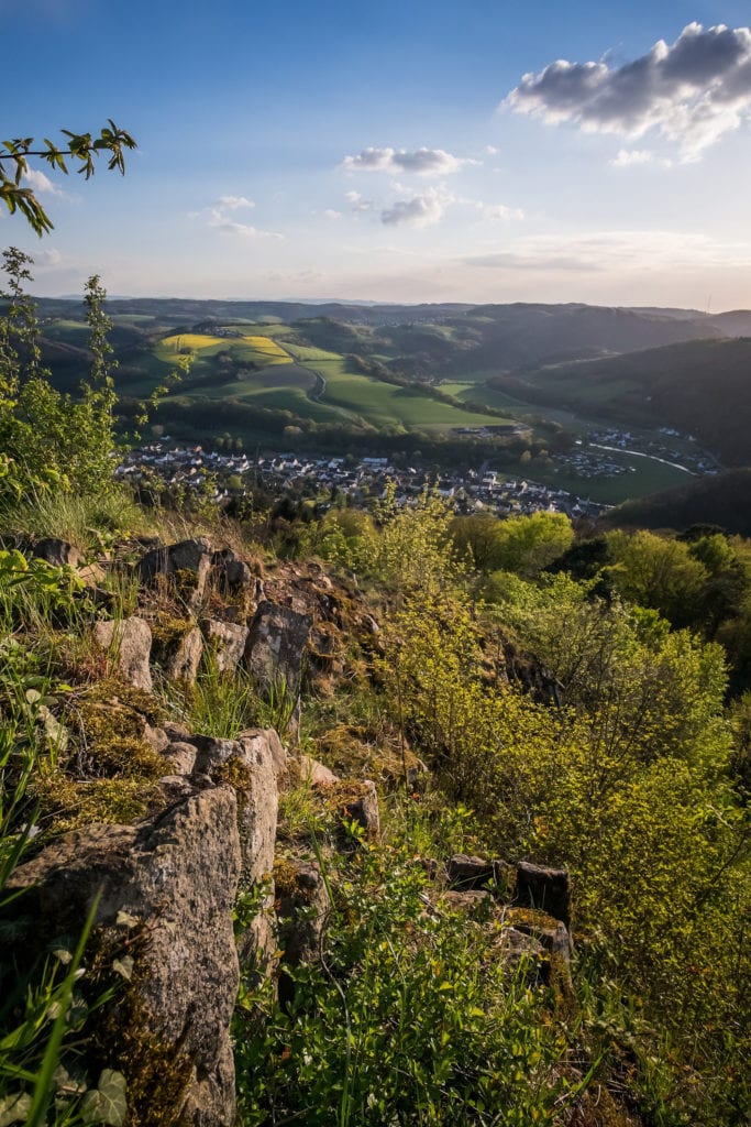 The river Wied flows through green landscapes, which hikers can admire during various tours