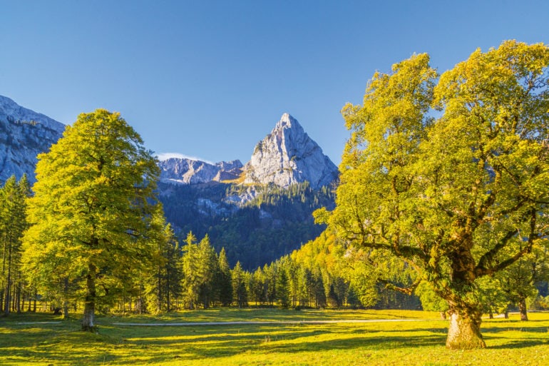 A mountain in the Ammer Mountains in Bavaria behind green meadows