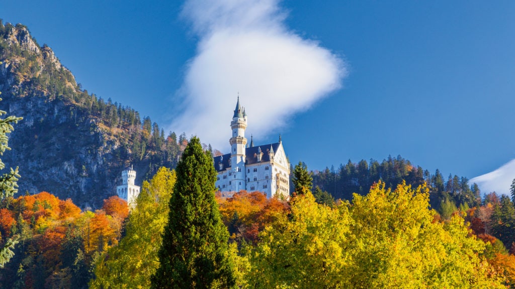 Neuschwanstein Castle between colourful treetops