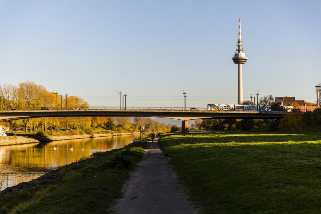 Blick vom Neckar-Ufer in Mannheim auf den Fernsehturm