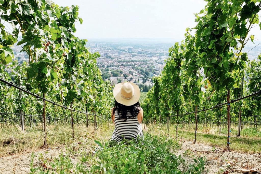 A woman sitting between two vines als looking at the city of Heilbronn