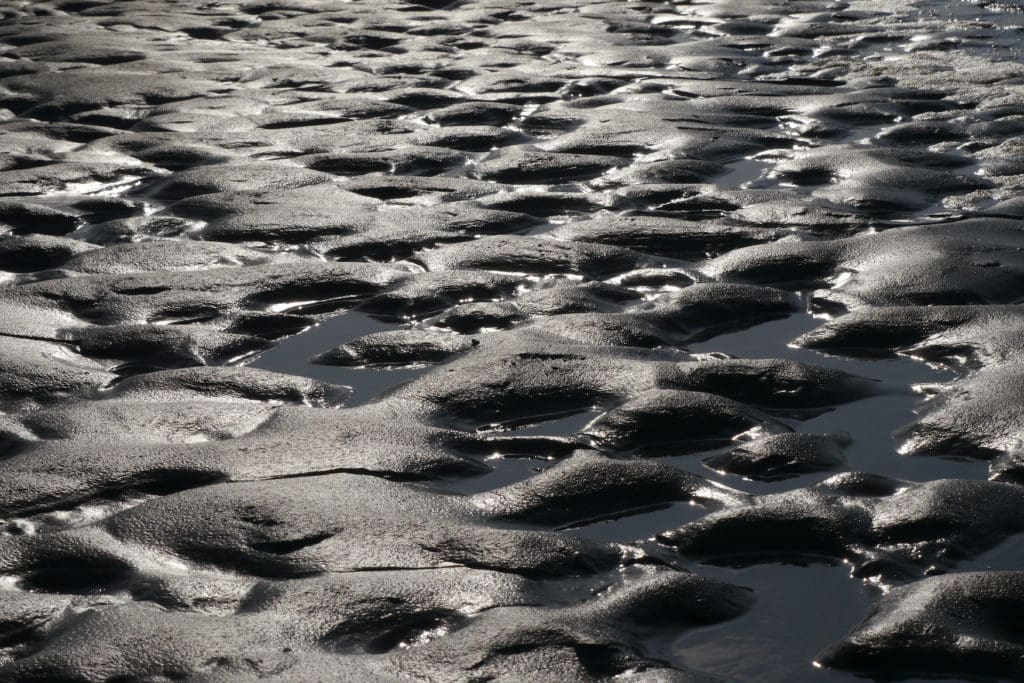 View of the mudflats in the North Sea