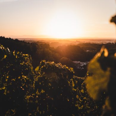 Sunset in Baden-Württemberg, Germany