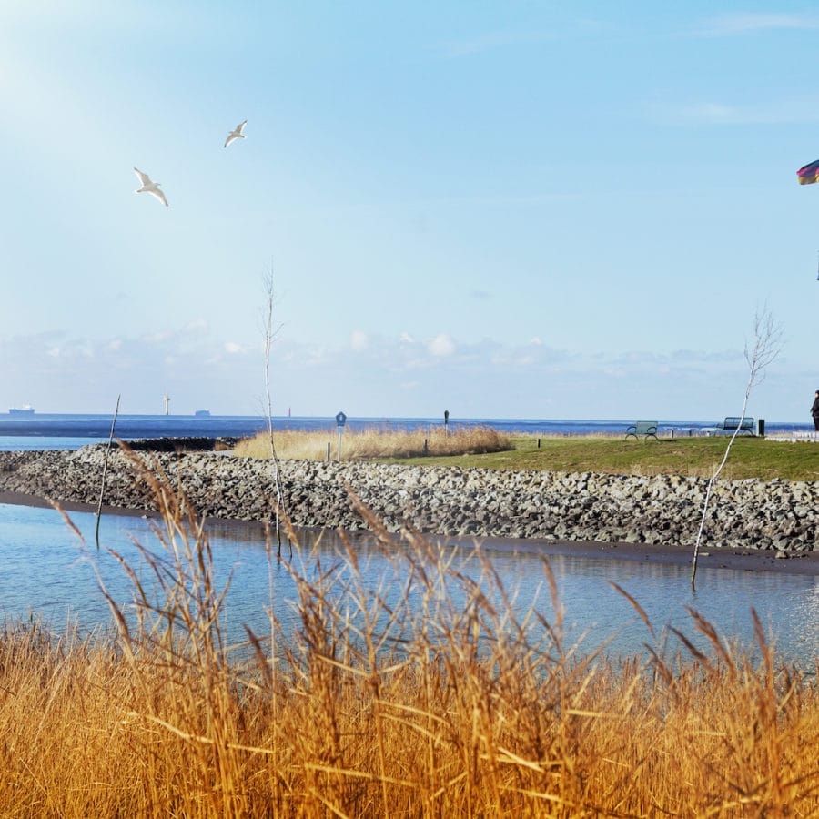 Bavarian Forest: A Chance to Slow Down - funkyGERMANY