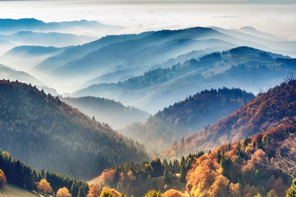 Amazing views of colorful Black Forest