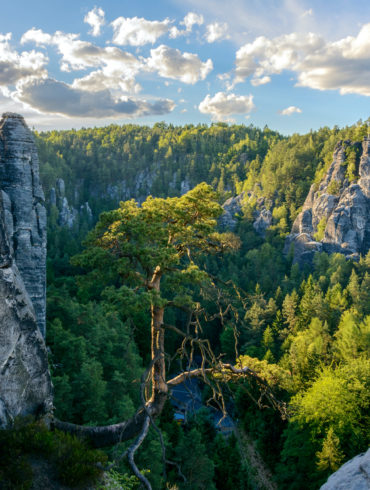 Ein Blick auf das felsige Sandsteingebirge im Nationalpark Sächsische Schweiz, der zu den bekanntesten Nationalparks in Deutschland gehört