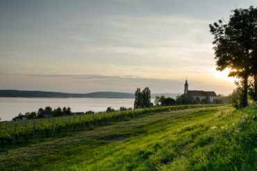 Kloster Birnau am Bodensee in Baden-Württemberg. Im Vordergrund die Weinberge.