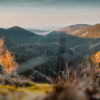 Nationalparks in Deutschland: Im Nationalpark Harz kann man die schöne Natur Deutschlands erleben