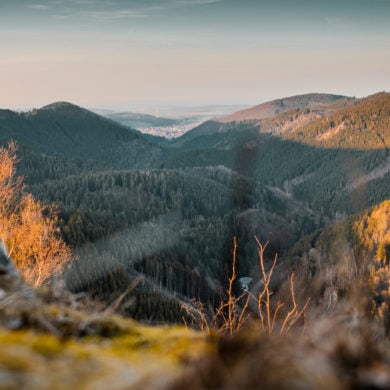 Nationalparks in Deutschland: Im Nationalpark Harz kann man die schöne Natur Deutschlands erleben