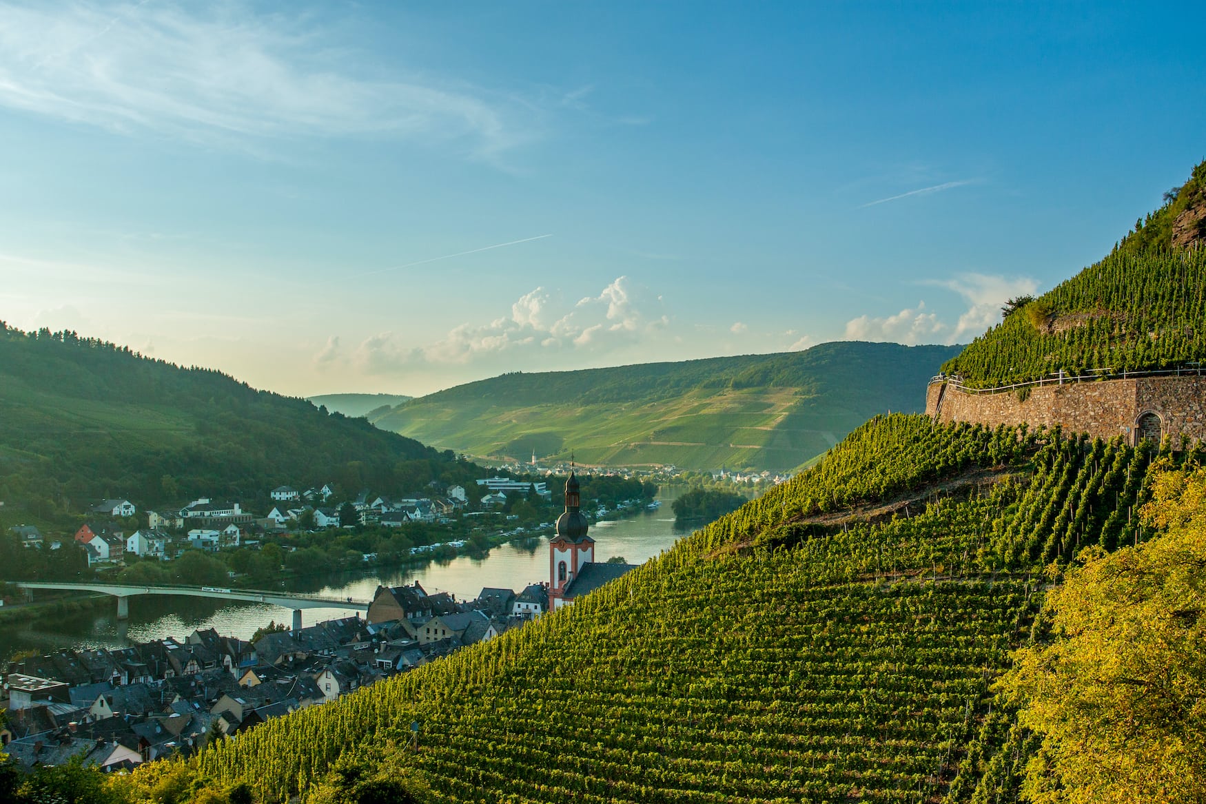 Weinregion Zell an der Mosel, die man während einer Fahrradtour durch Deutschland besuchen kann