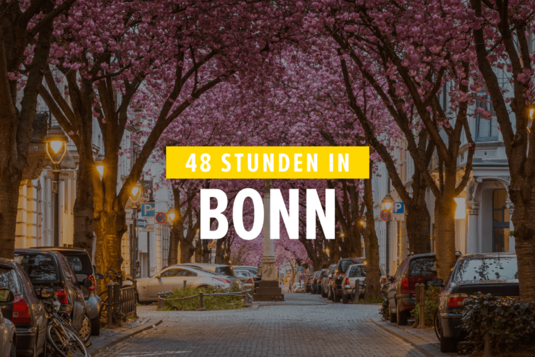 Was man in Bonn auf keinen Fall verpassen darf? Die Kirschblüte!