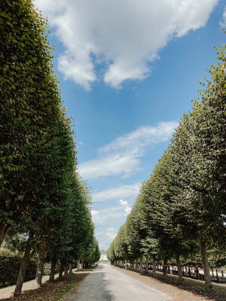 Baum-Allee im Schlosspark bei Brühl