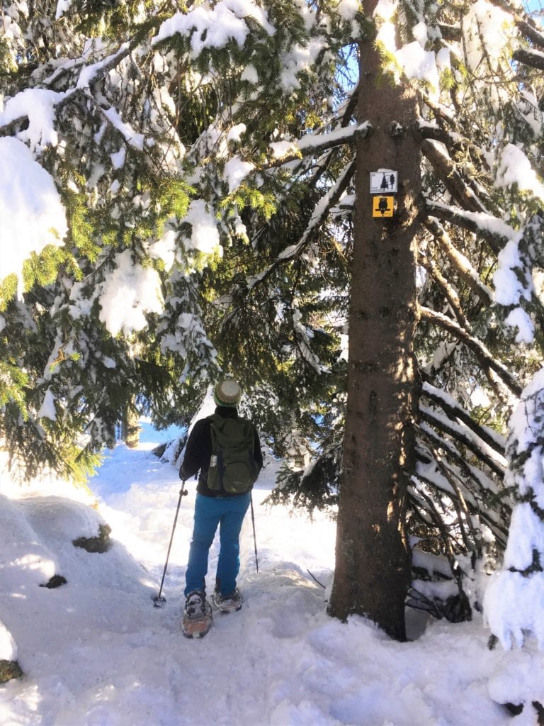 Frau beim Schneeschuhwandern durch den Bayerischen Wald