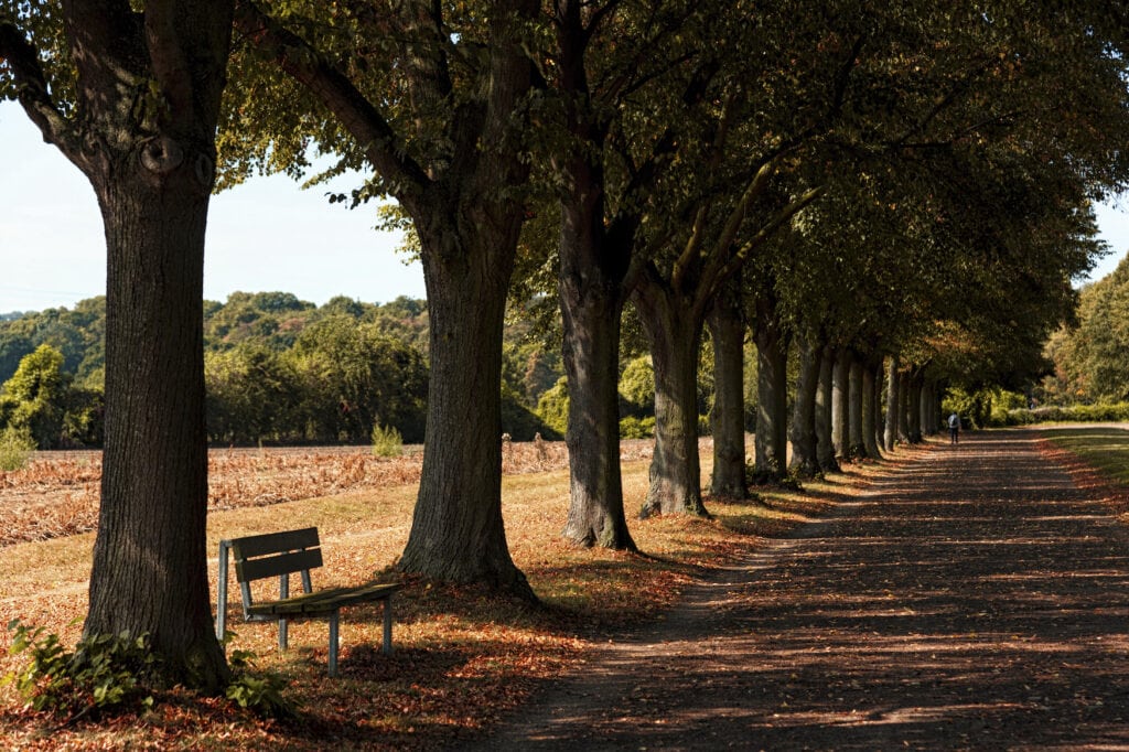 Schlossgarten Brühl