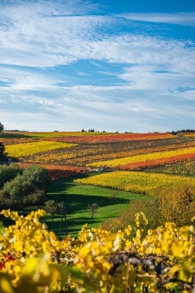 Indian Summer im Ahrtal