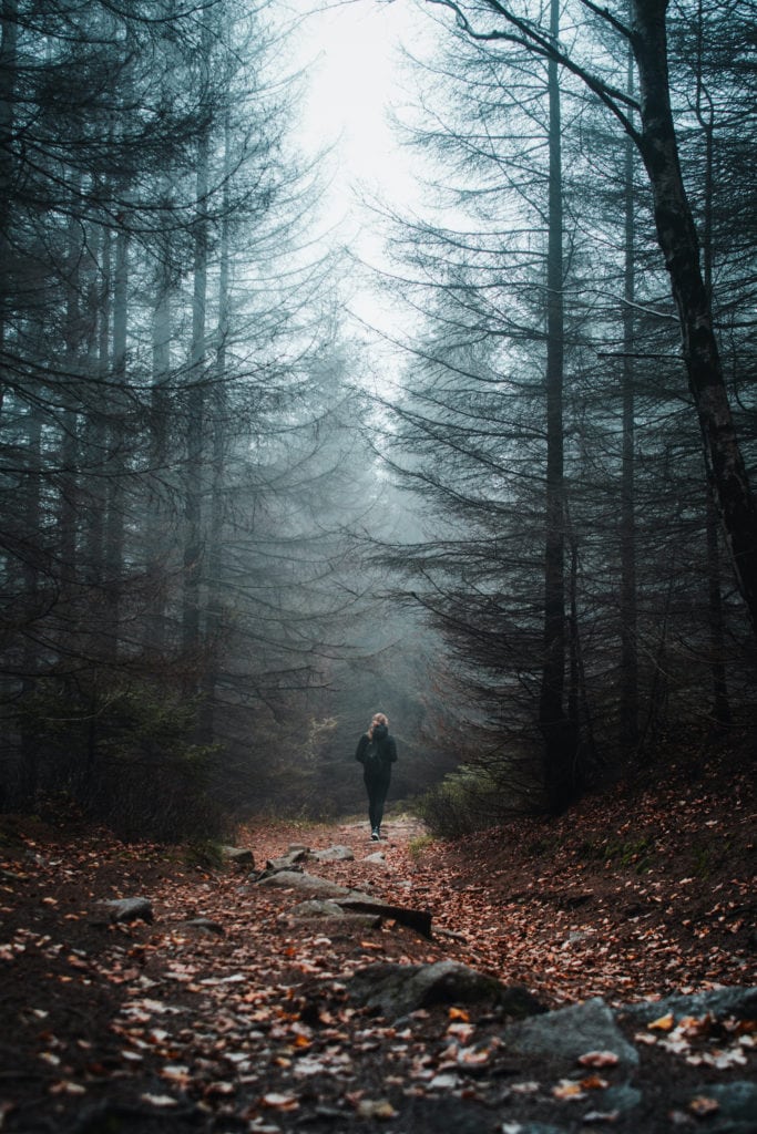 Wanderin spaziert durch nebeligen Wald im Nationalpark Harz