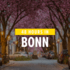What you should not miss in Bonn? The cherry blossom!