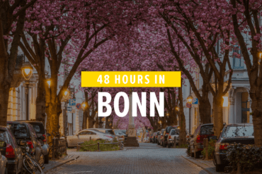 What you should not miss in Bonn? The cherry blossom!