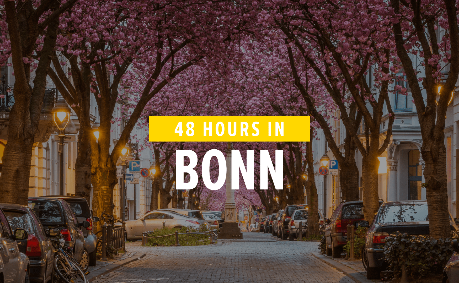 What you should not miss in Bonn? The cherry blossom!