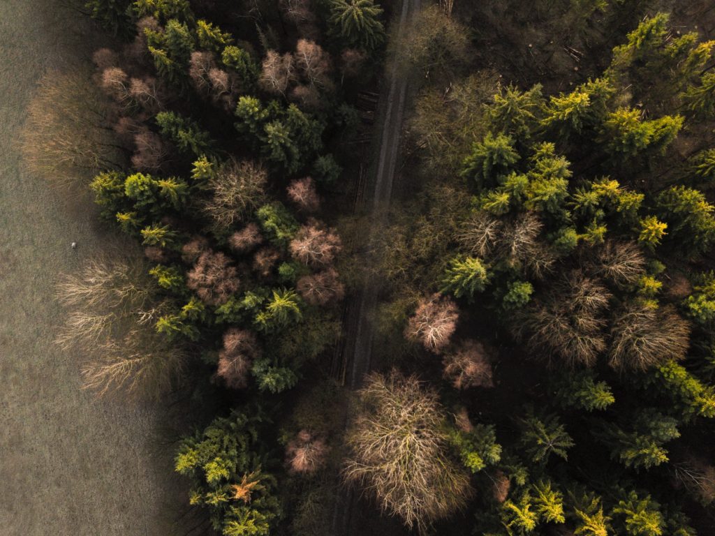 Teutoburger Wald von oben