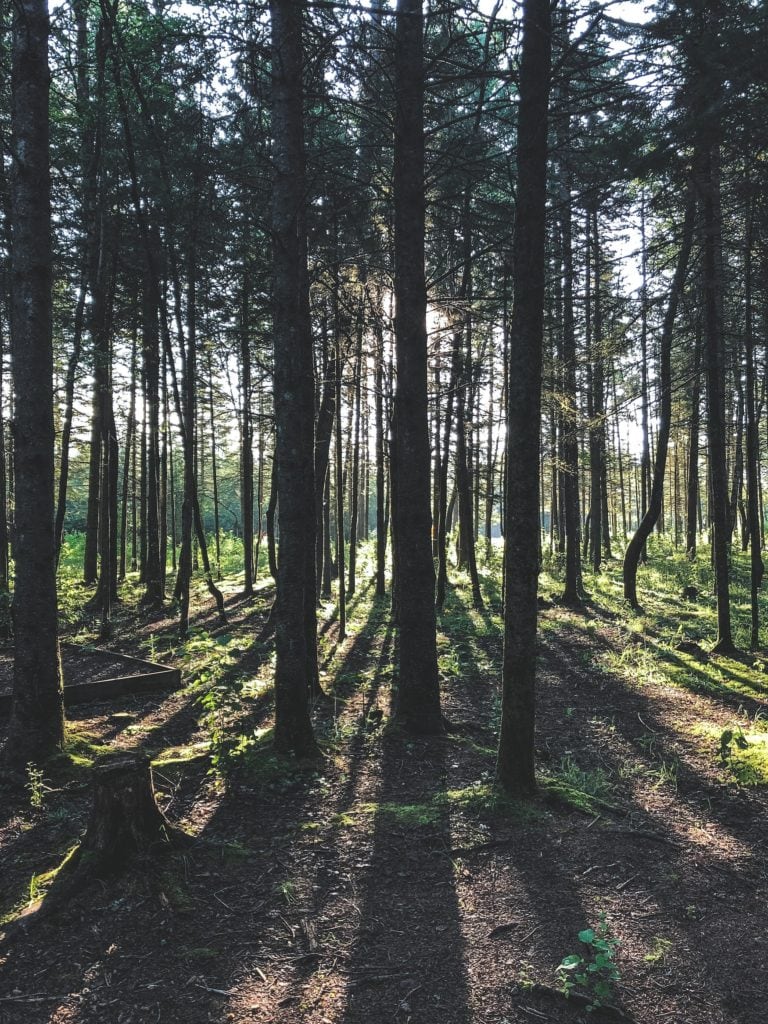 Einer der schönsten Radwege in NRW führt durch den Teutoburger Wald und das Paderborner Land