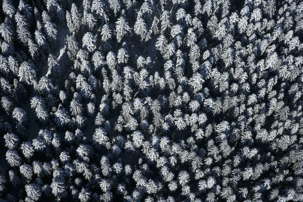 Winterlicher Schwarzwald von oben