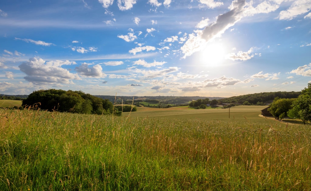 Weite Aussicht auf einem Feld im Neanderland in NRW