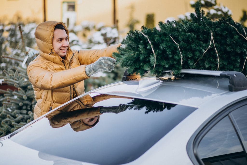 Mann lädt Weihnachtsbaum auf Auto