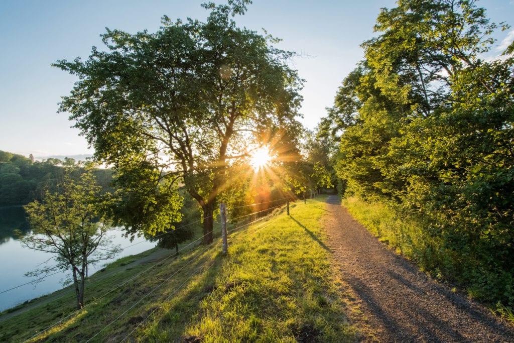 Weinfelder Maar in der Eifel