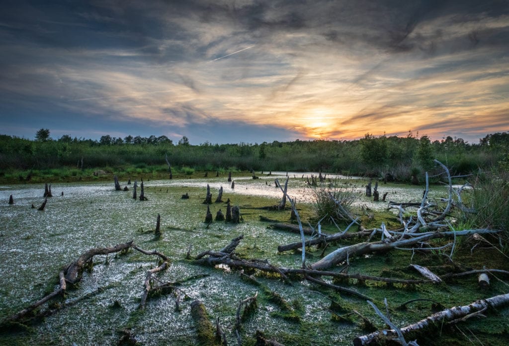 Photogenic places in Germany: Diepholz Moor Depression