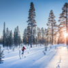 Cross country skiing in winter landscape
