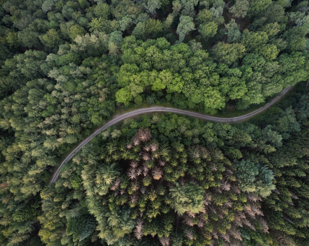 Forest from above near Siegen-Wittgenstein