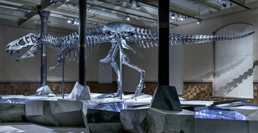 Dinosaurier-Skelett in Museum in Berlin