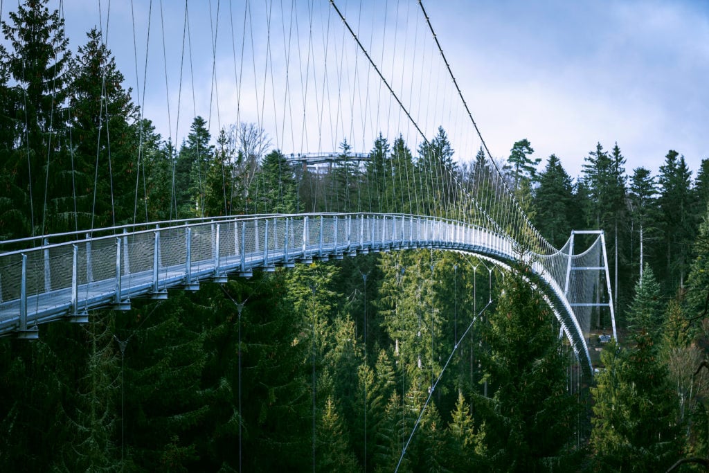 Wildline Hängebrücke im Schwarzwald