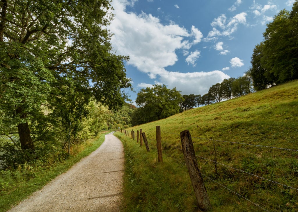 Field path through the Eifel National Park