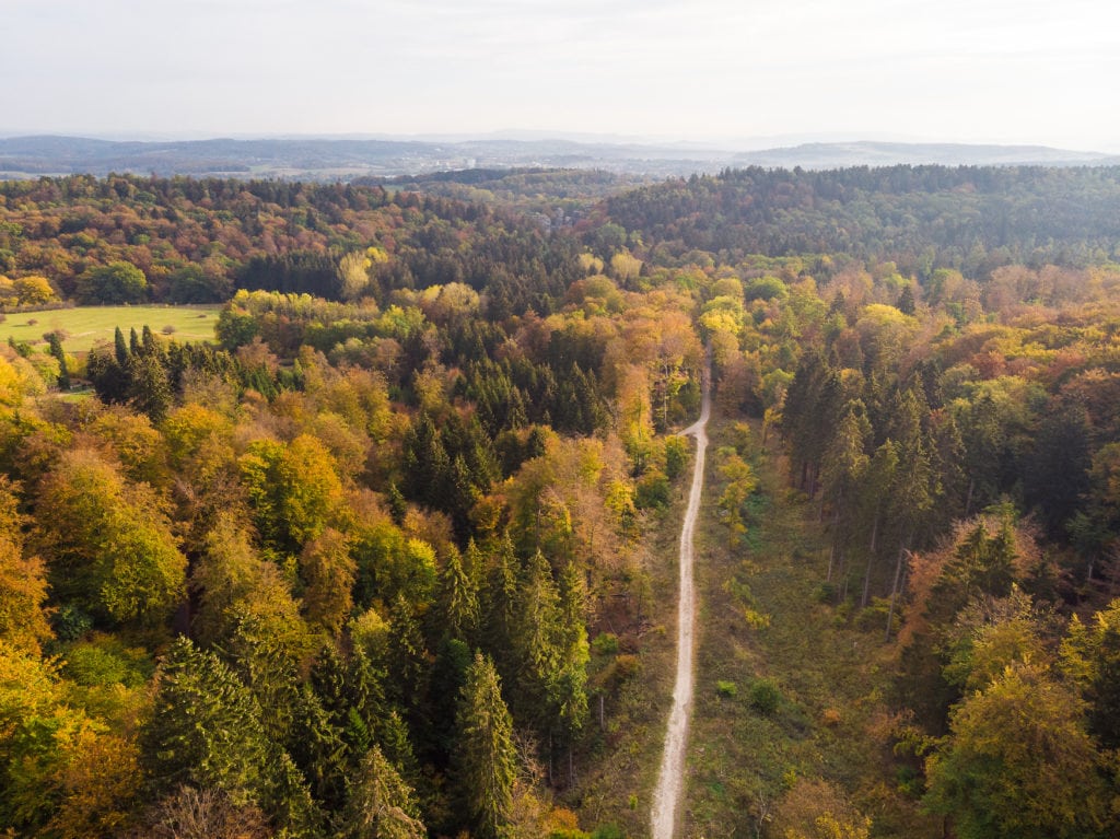 View of the Teutoburg Forest in autumn colors