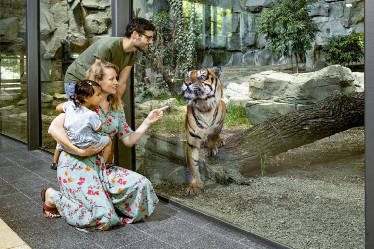 Familie steht vor Scheibe eines Sumatra-Tigers im Tierpark Berlin