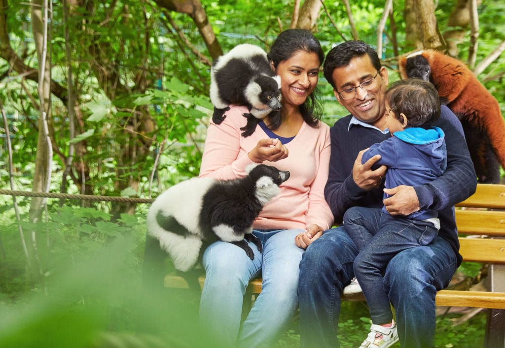 Familie sitzt im Vari-Wald im Tierpark Berlin und streichelt Lemuren