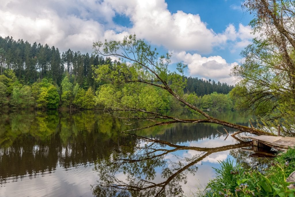 Flusslandschaft an der Ilz im Bayerischen Wald